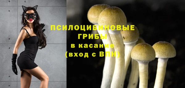 прущий лед Алексин