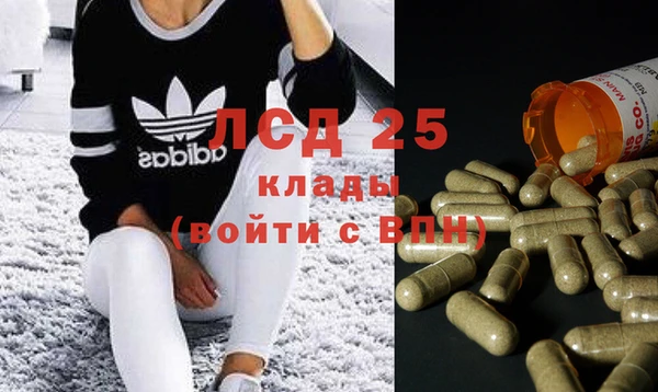 PSILOCYBIN Абдулино
