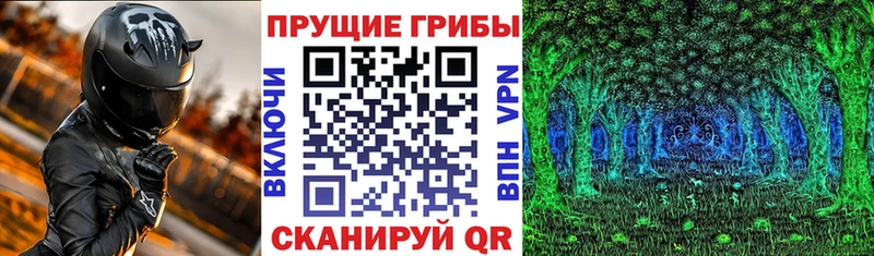 Галлюциногенные грибы GOLDEN TEACHER  Уссурийск 